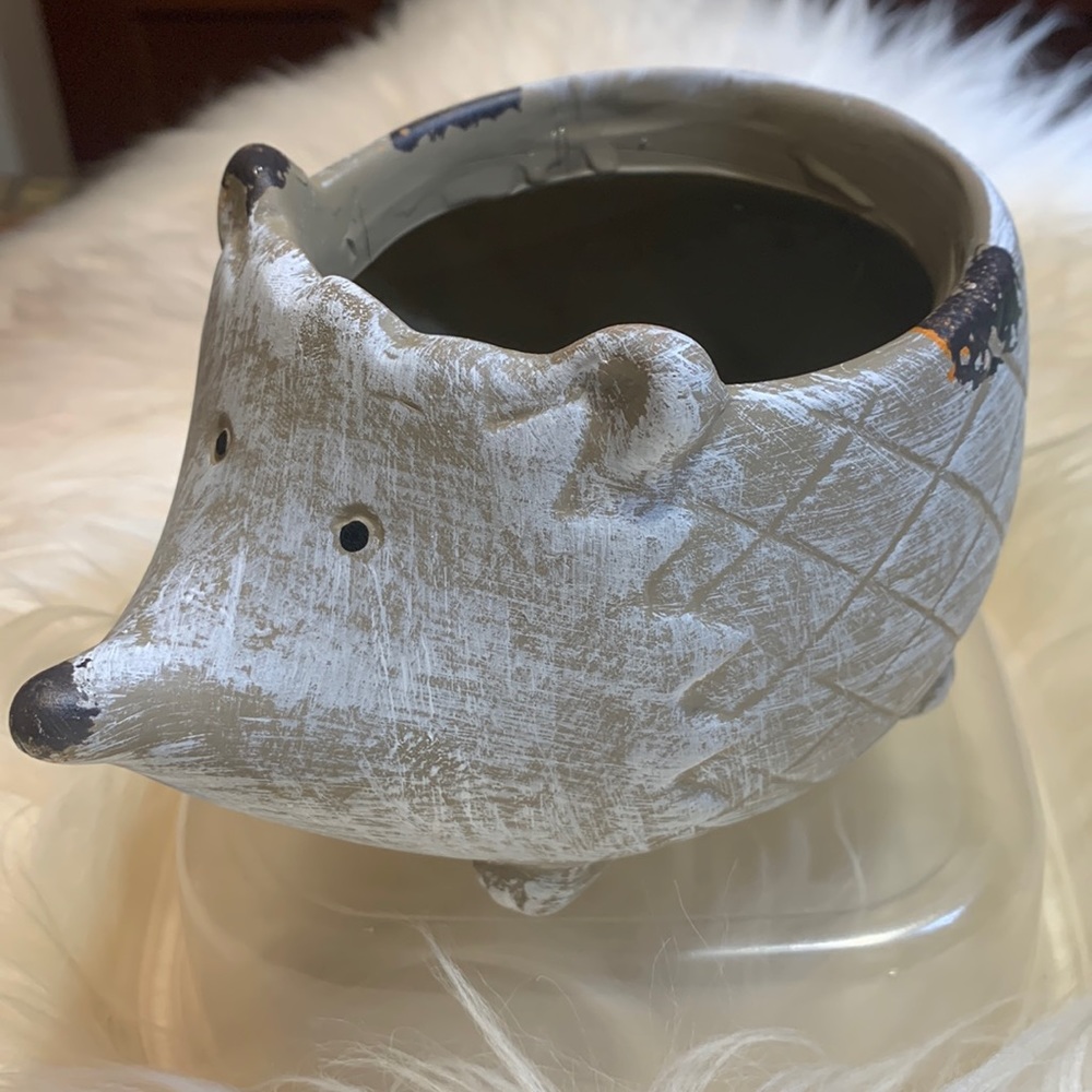 Hedgehog pot or cloth holder.